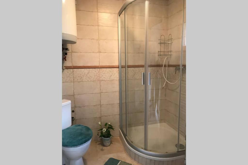 Cely Dum Flora V Ceskosaskem Svycarsku Daire Janov Dış mekan fotoğraf