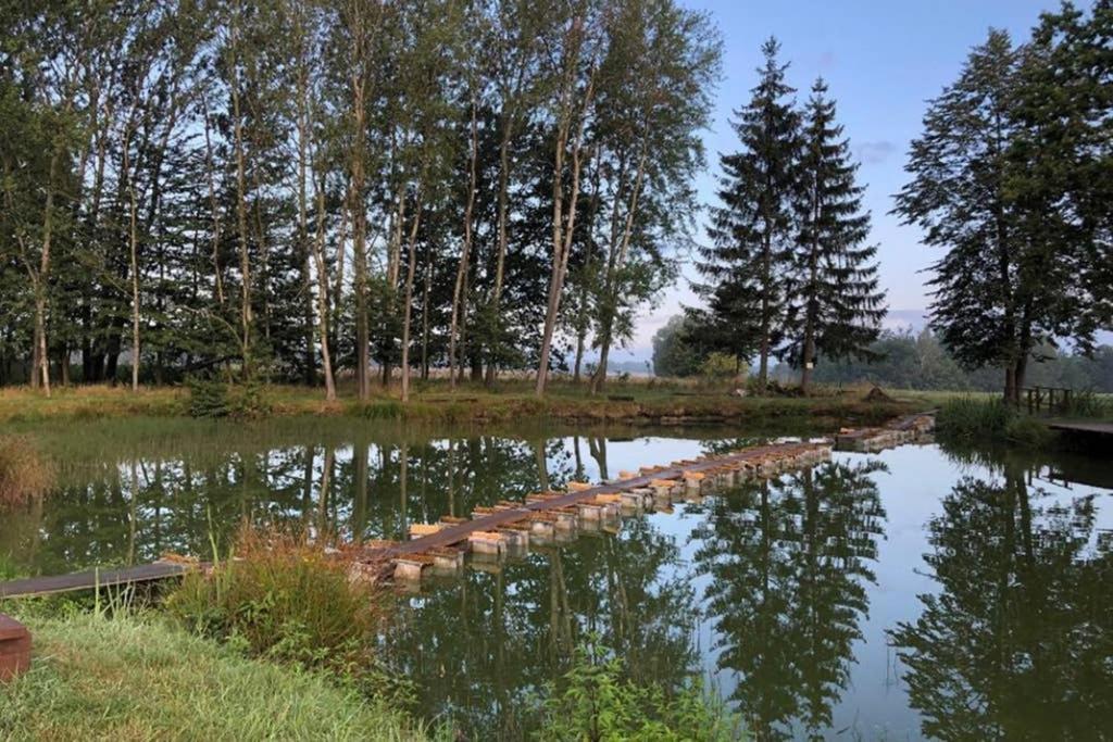 Cely Dum Flora V Ceskosaskem Svycarsku Daire Janov Dış mekan fotoğraf